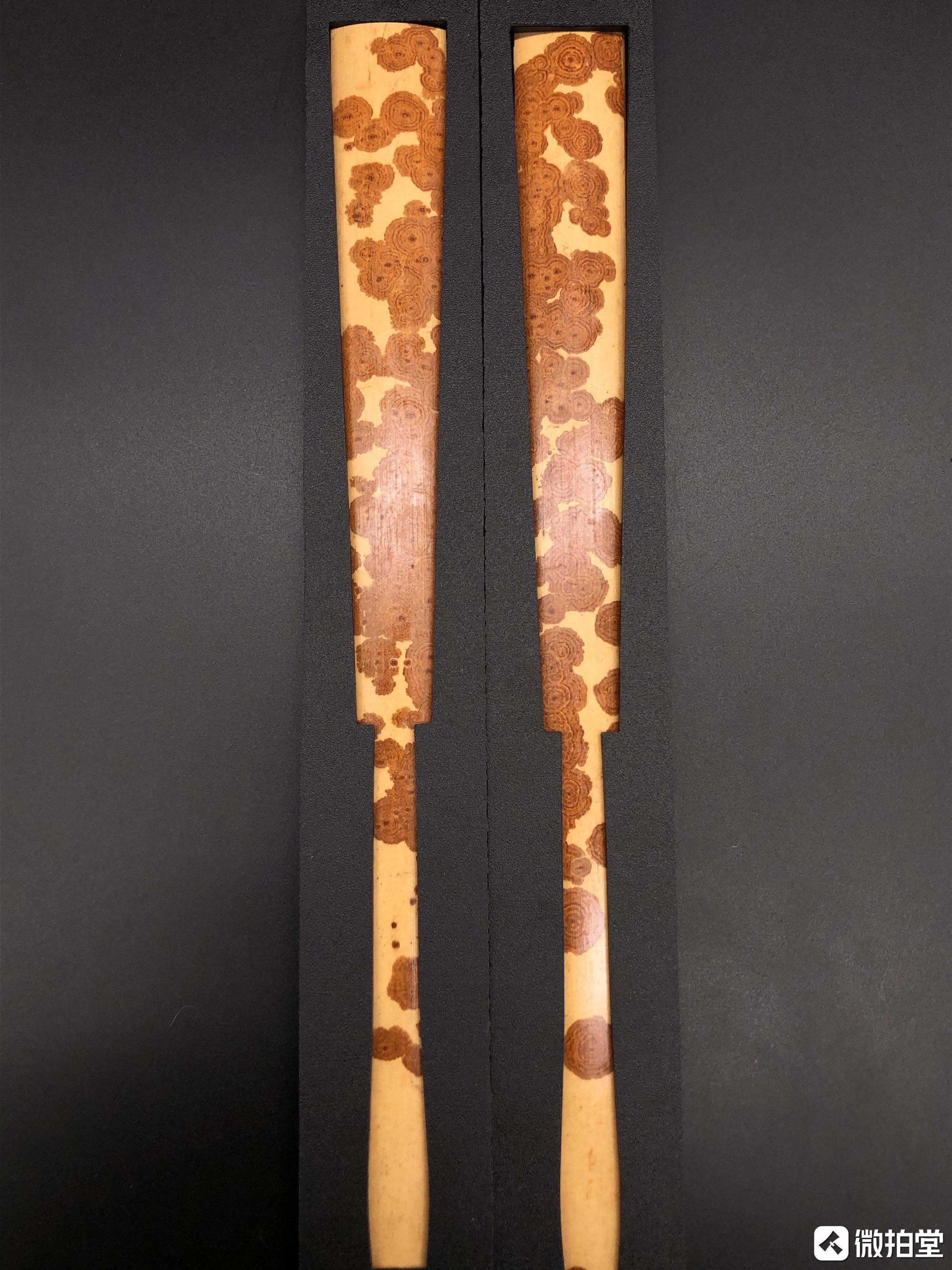 大家看看这是湘妃竹吗? - 知乎