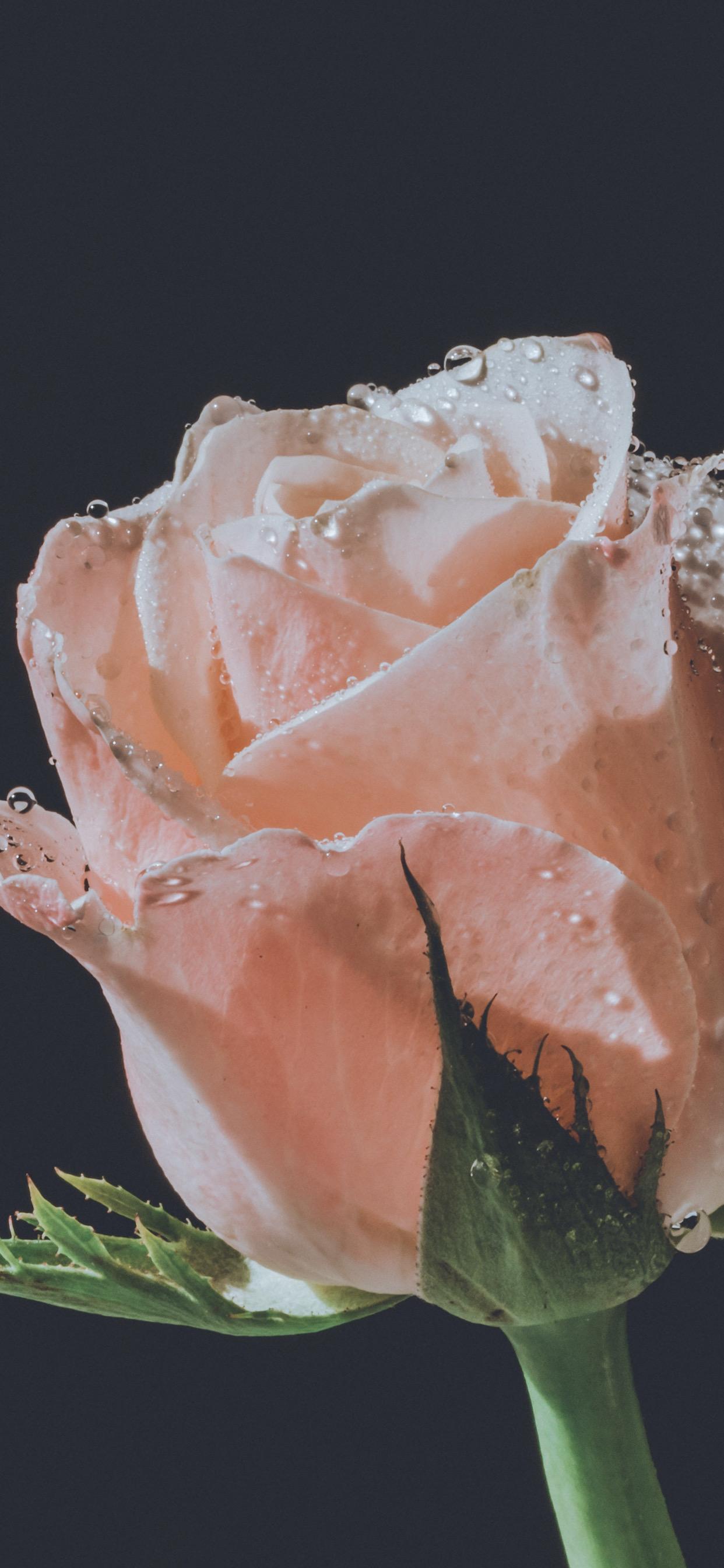 ios16除了锁屏小组件,设置这种超有立体感的景深效果壁纸简直太好看了