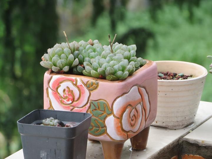 梅雨季 作死边缘的试探让我吃了大亏 知乎