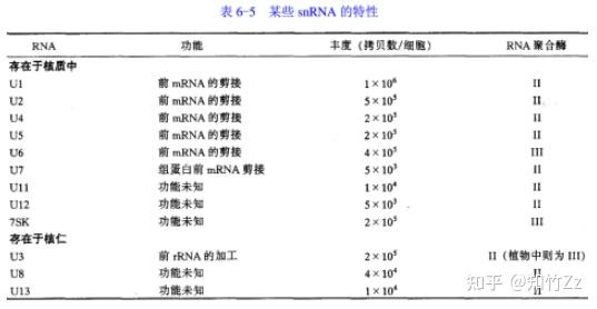 细胞生物学高频考点（二十二）之反义RNA与核酶内容及思维导图 - 知乎