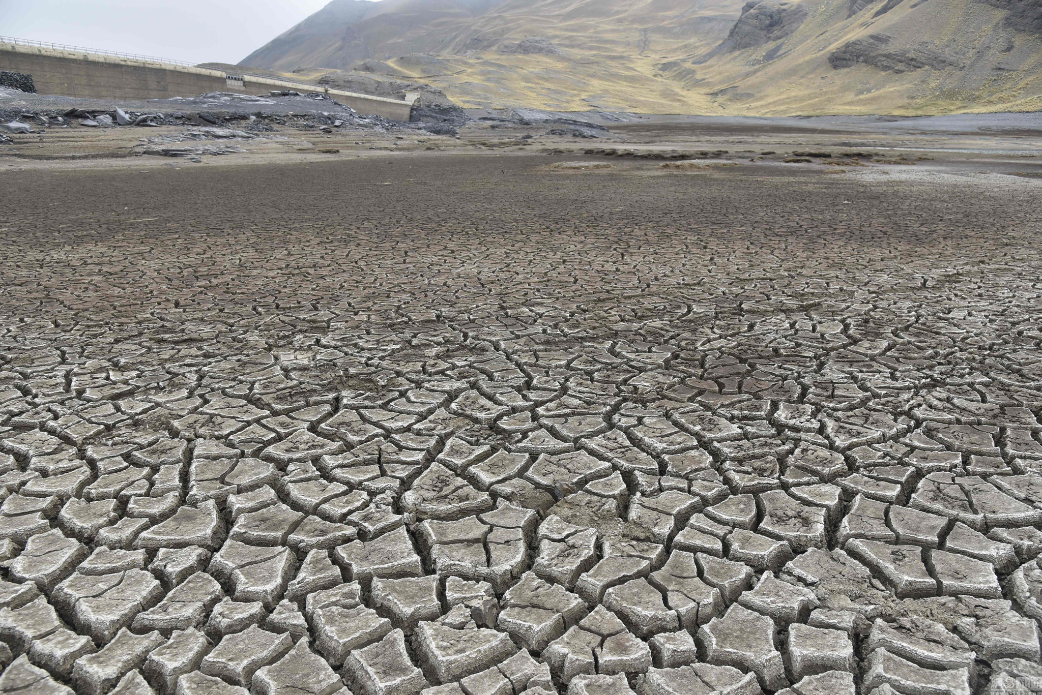 人们焚烧化石矿物或砍伐森林并将其焚烧时产生的二氧化碳等多种温室