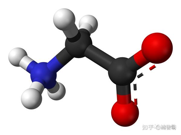 氨基酸结构式与分类 - 知乎