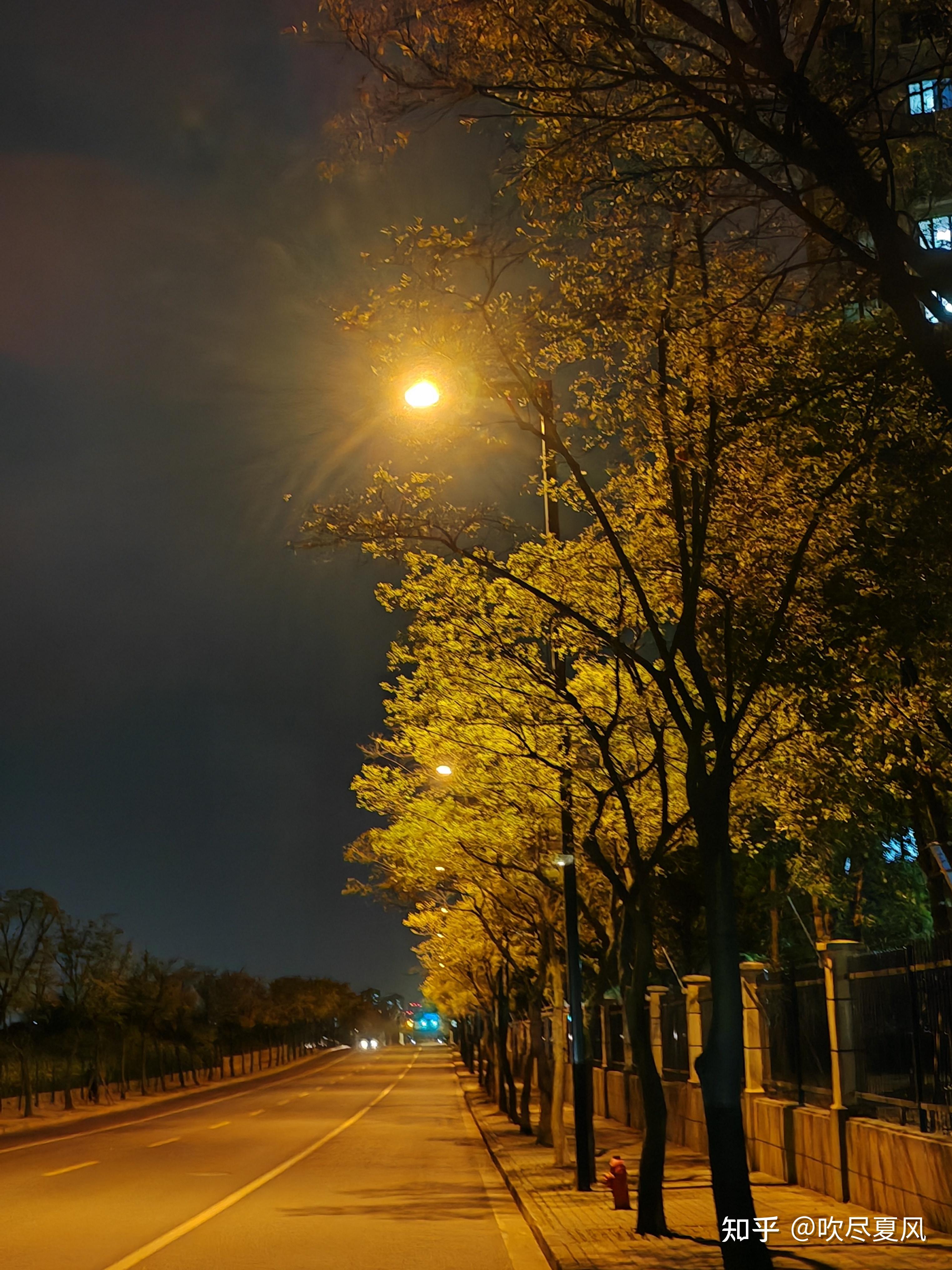 明月夜景图片大全图片