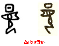 汉字源流 甲骨文中的 夏 知乎