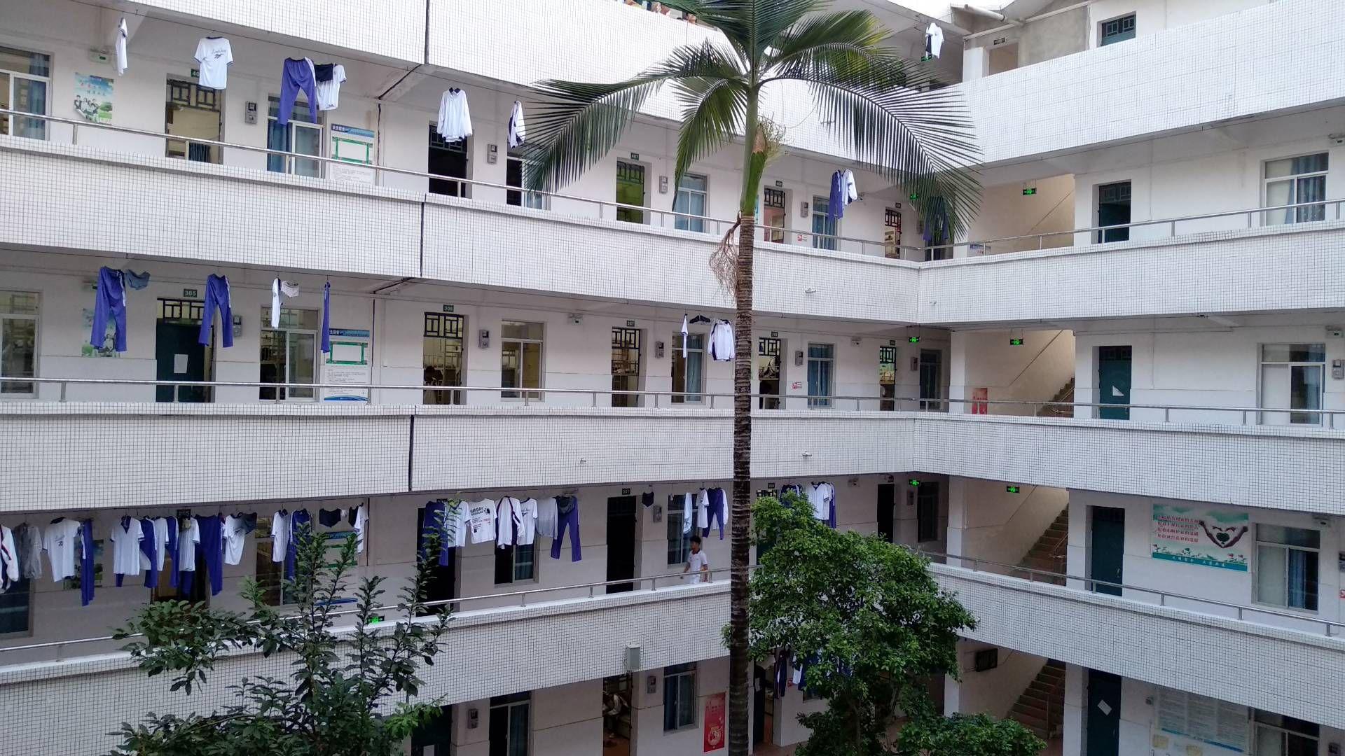 记录我的柳州市钢一中学三年生涯