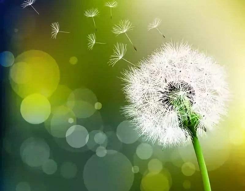 风清气正的政治生态从何而来 v2-06aba39de3e262d1dc34388521ca18ec_1440w.jpg?source=172ae18b