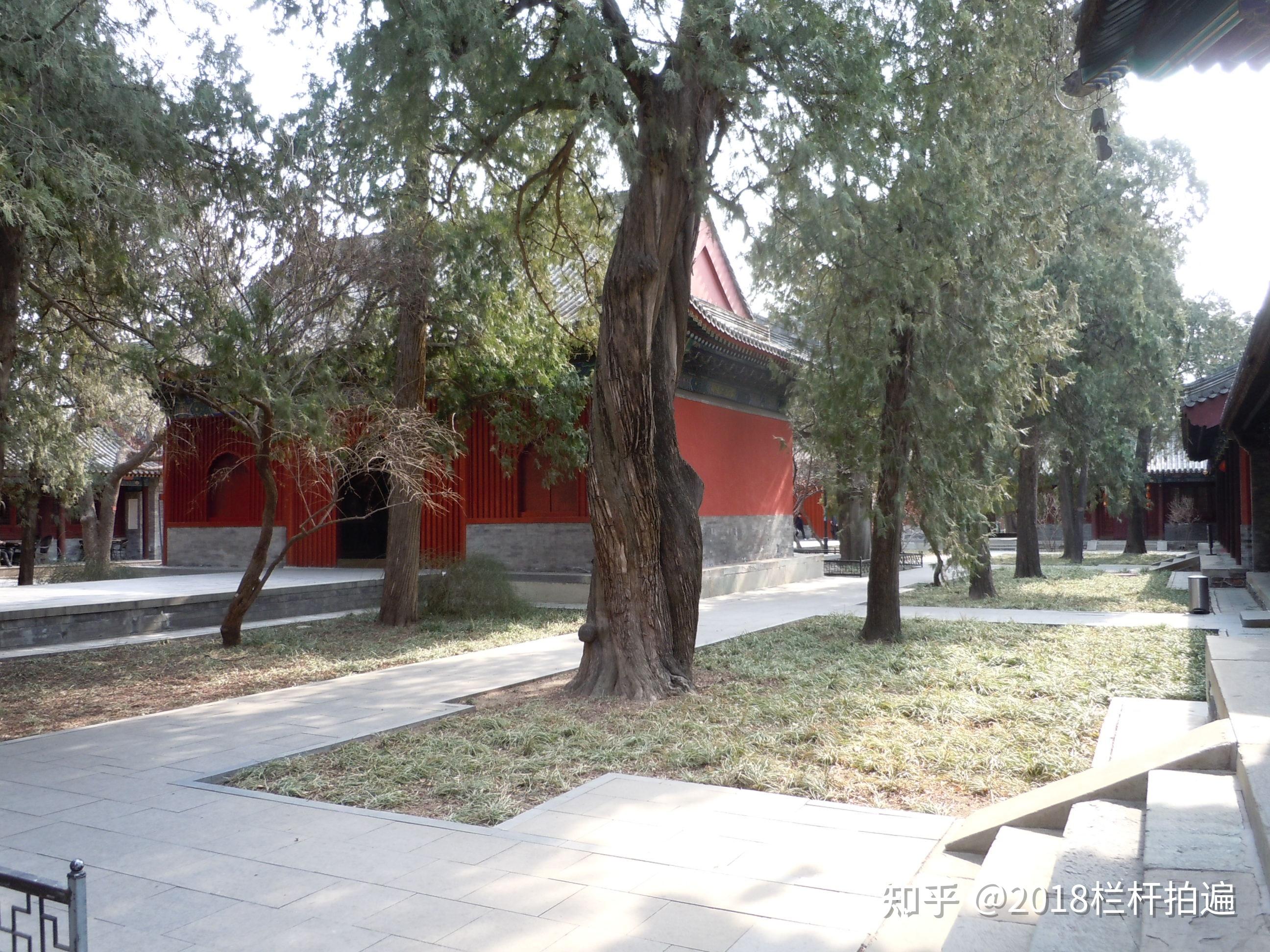 北京卧佛寺，摄于11月初