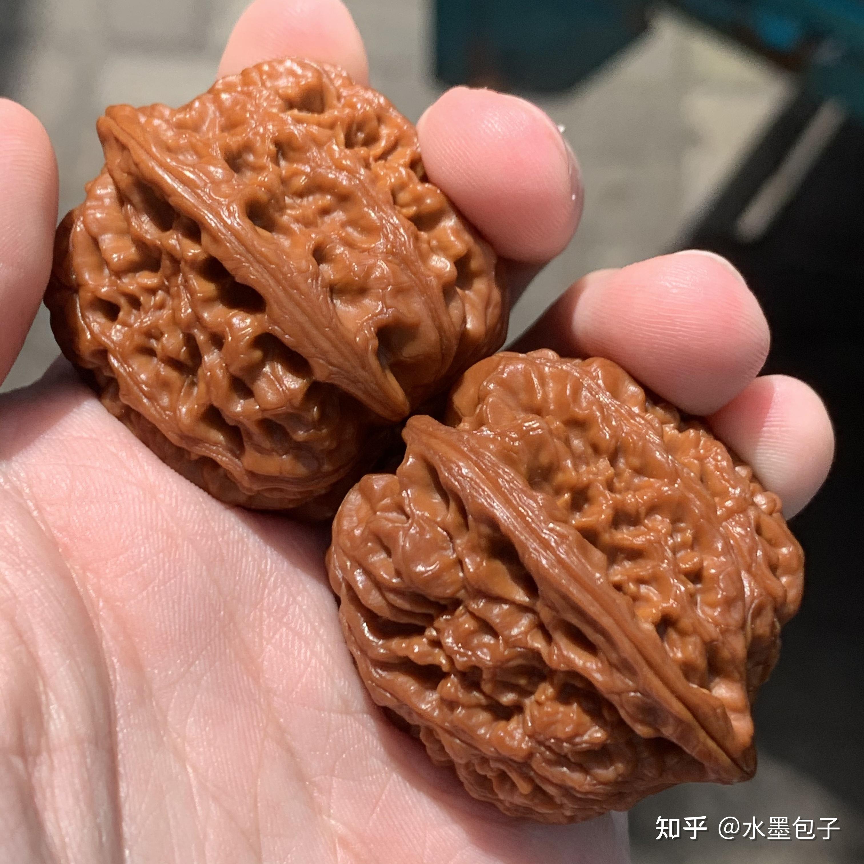 品种专辑二西北将军膀