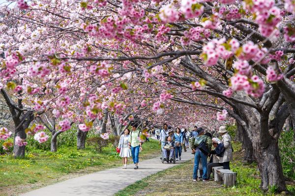 去北海道 你必须知道的8大目的地 知乎