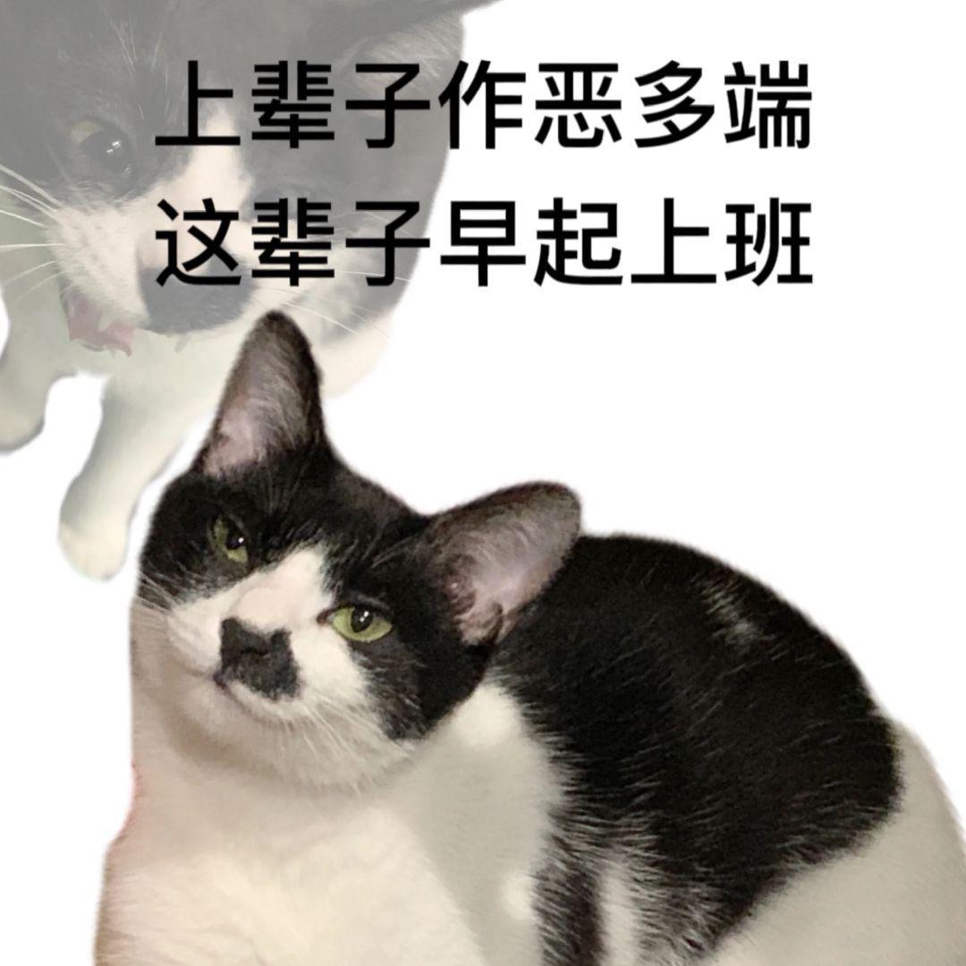 分享一组职场表情包 - 知乎