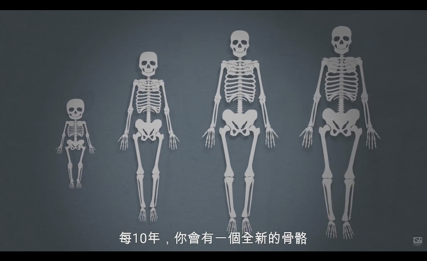 比如,心脏的更新率很慢,有一半的心脏细胞从你出生到死亡都会跟着你