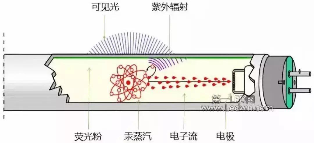 荧光发光的原理是什么_荧光反应是什么颜色