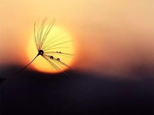 天行健君子以自强不息周易这句话的意思 v2-06e192cfd55246b0e867ab79a82a1849_1440w.jpg?source=172ae18b