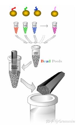 一篇入门Biochip(生物芯片)万字手册 - 知乎