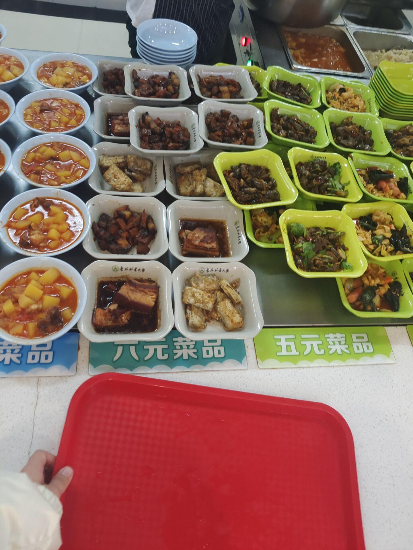 在东北林业大学里就餐是一种怎样的体验?有什么推荐的食堂和美食?