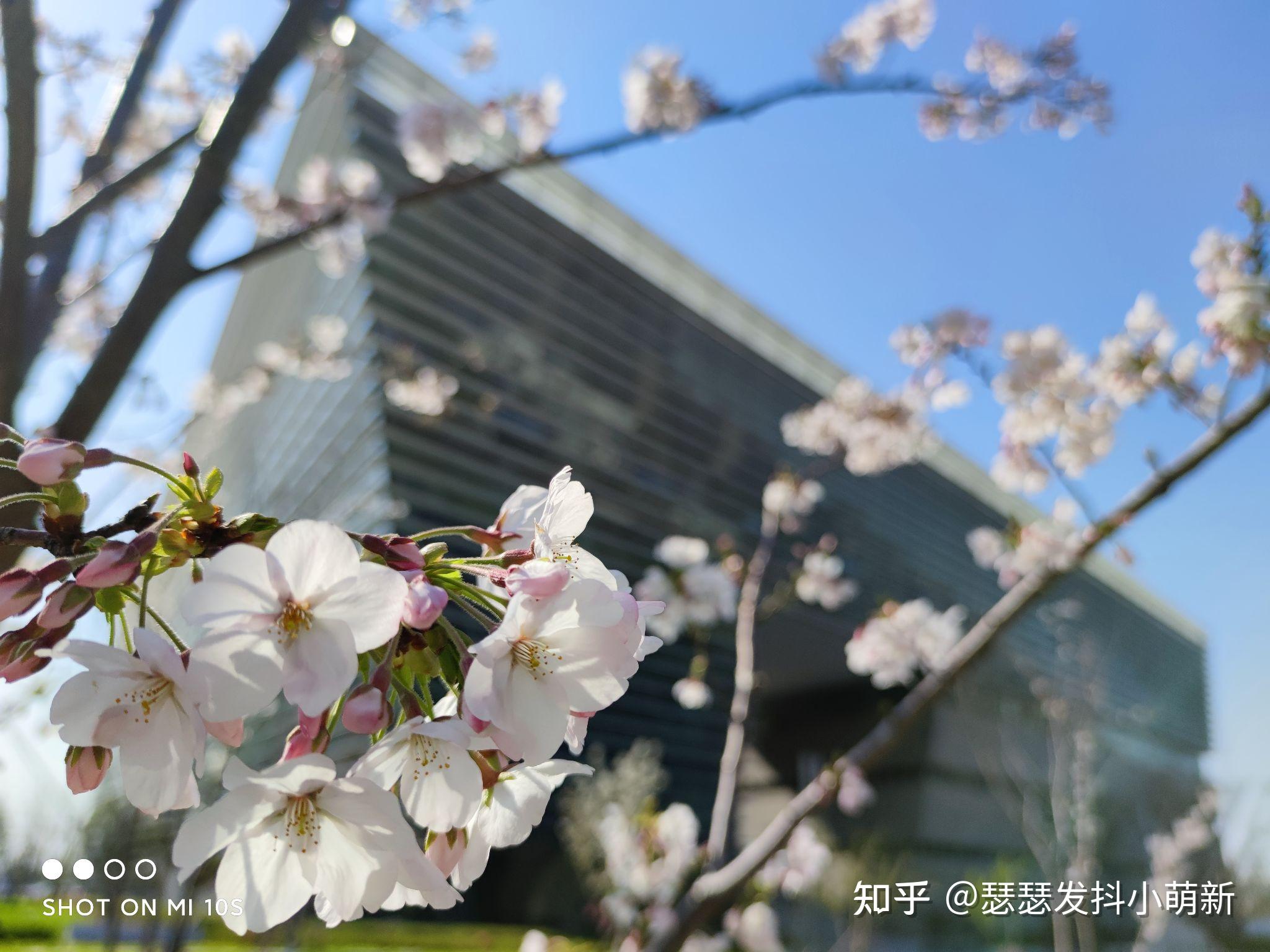 拍照上,小米10s完整继承了小米10的成熟而又优秀的相机模组.