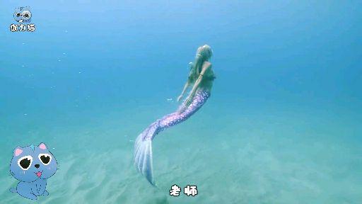 次播放地震自然灾害灾难科普海洋相关推荐为什么比目鱼眼睛会长在一侧