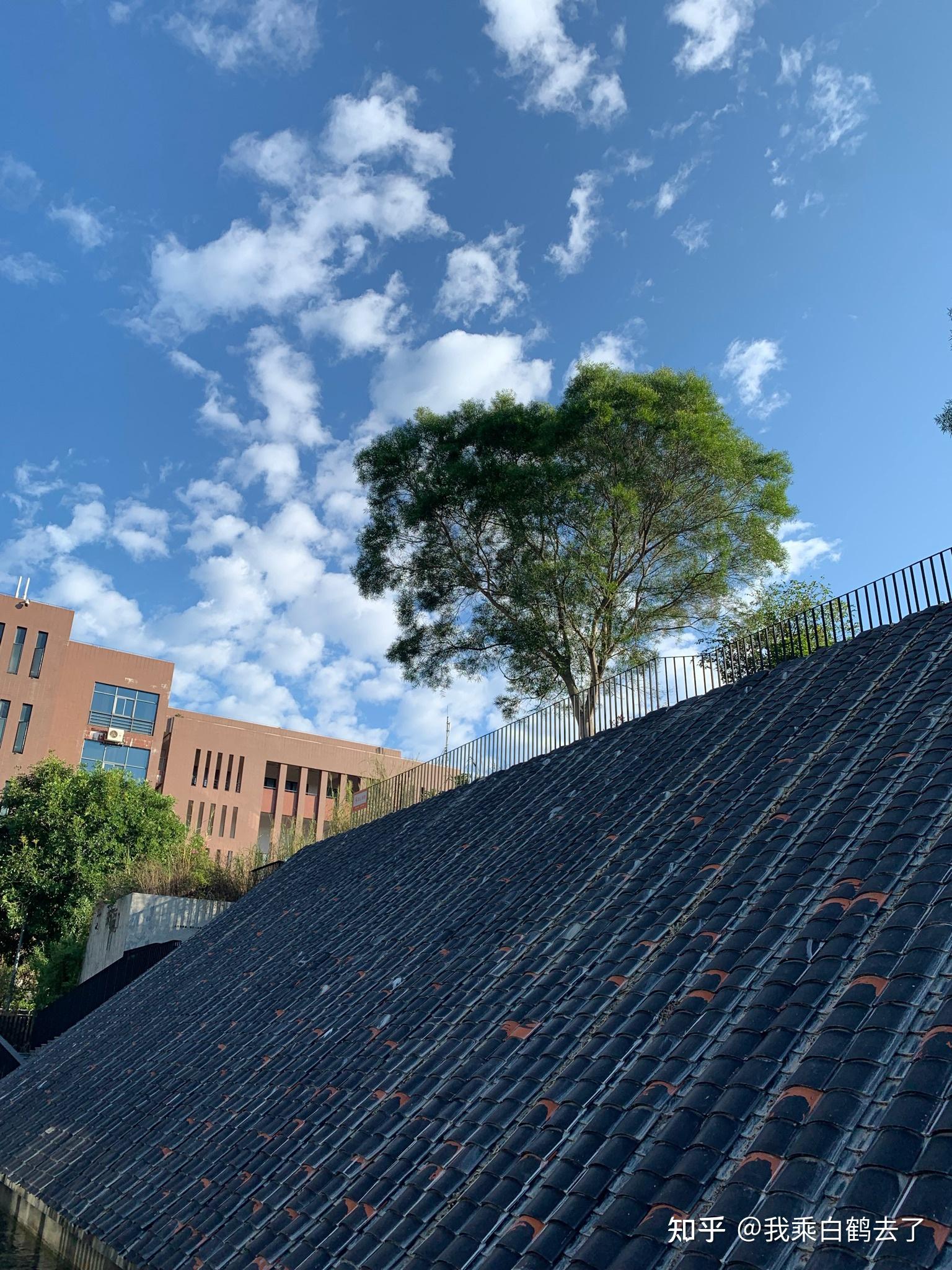 福州大学厦门工艺美术学院怎么样,好吗? - 知乎