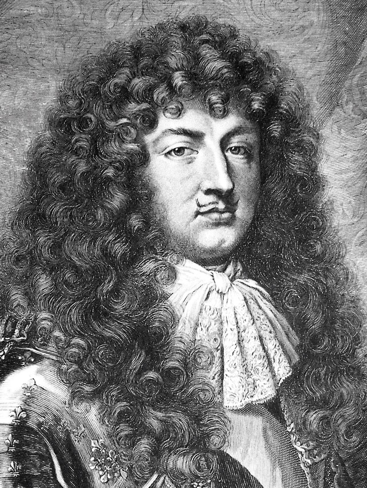 《路易十四保护学院》(louis xiv protecteur de lacadémie),henri