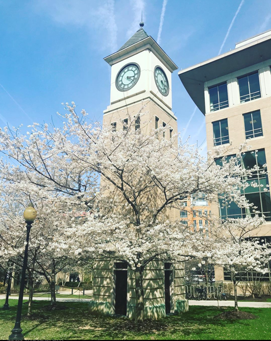 纽约大学法学院(纽约大学法学院世界排名)