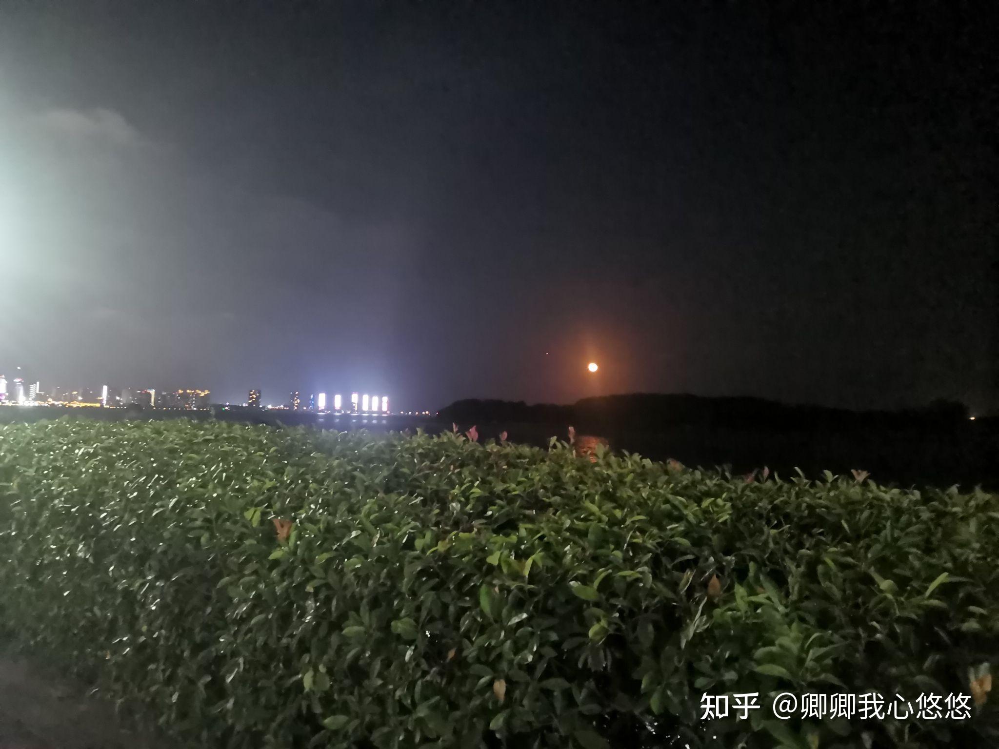 开车赏月去 - 知乎