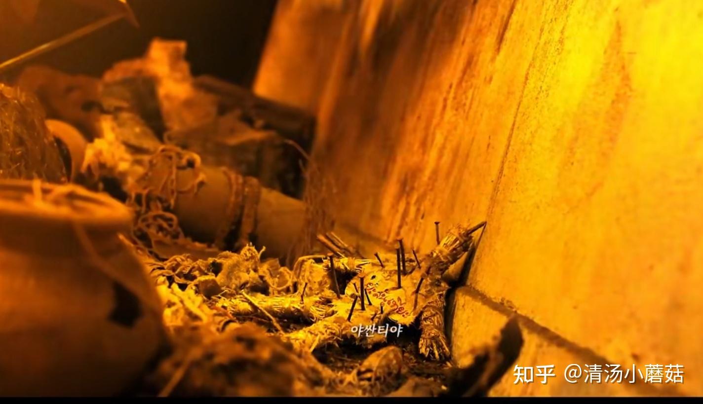 2021电影灵媒影评剧情解析