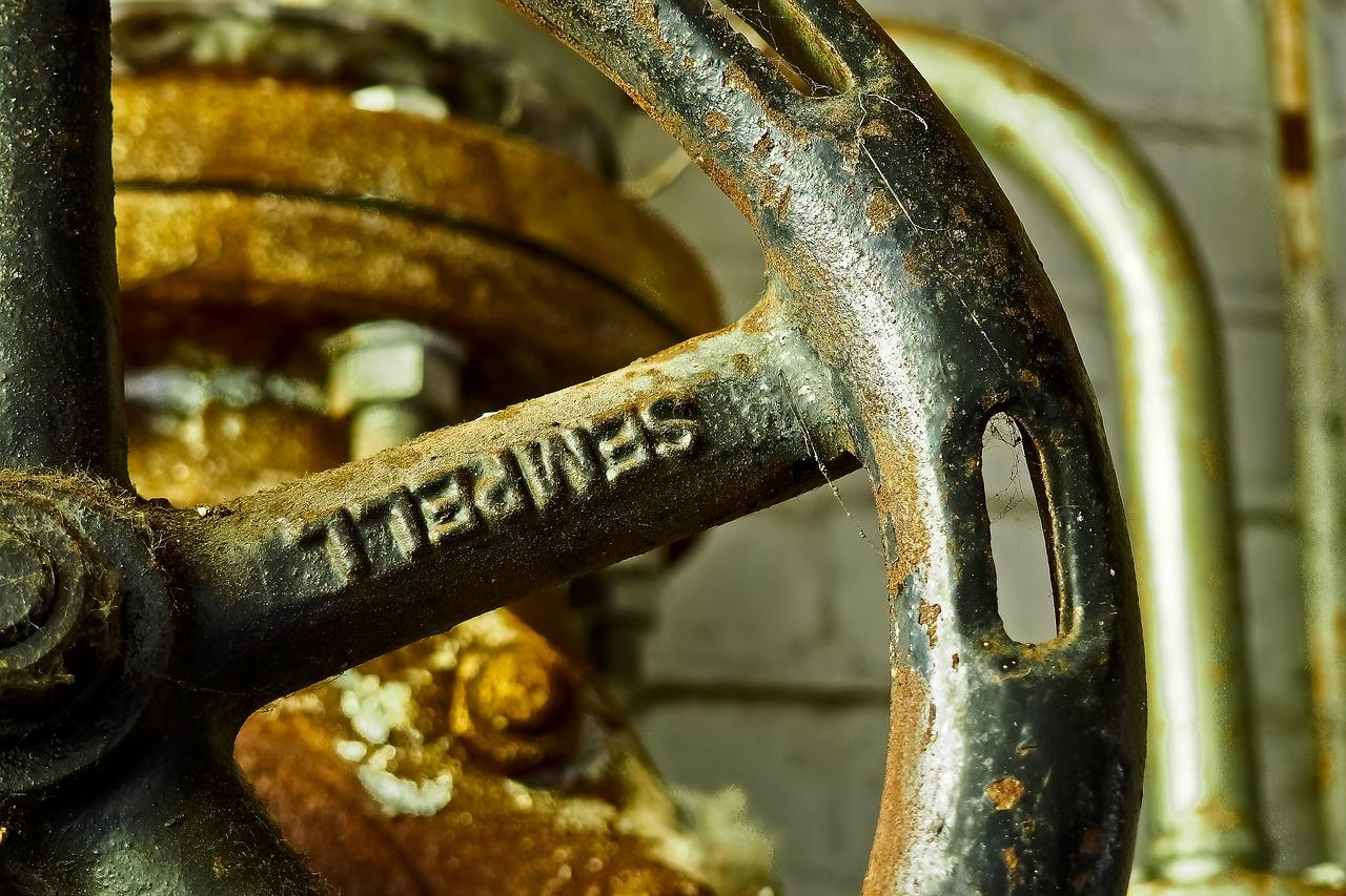 3. 女性就业机会