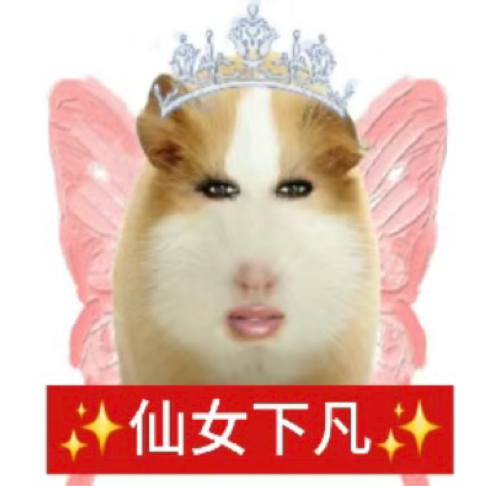 猪妞最爱用的超火抖音表情包(仙女下凡~~~) - 知乎