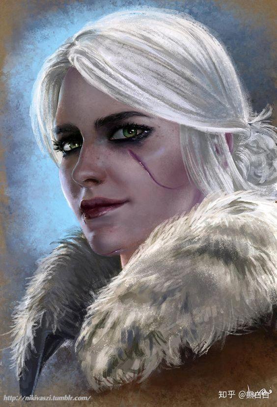 猎魔人原著希里脸上的疤长在什么位置? - 知乎