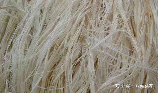 亚麻面料与苎麻面料的区别? - 知乎