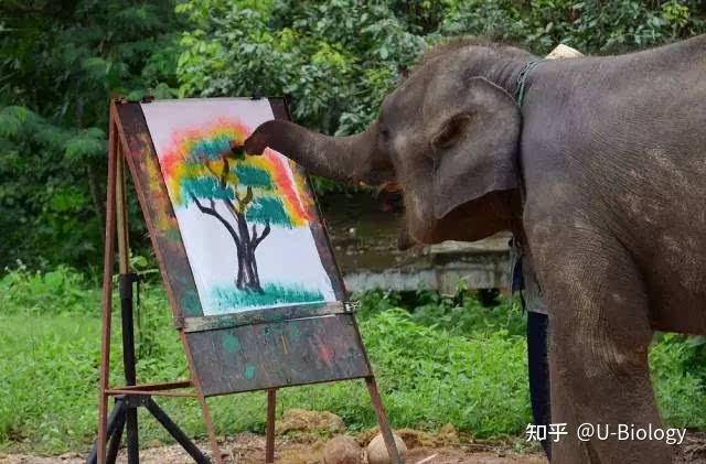 有人类学家对人和动物进行区分,最著名的论断标准就是对于工具的使用