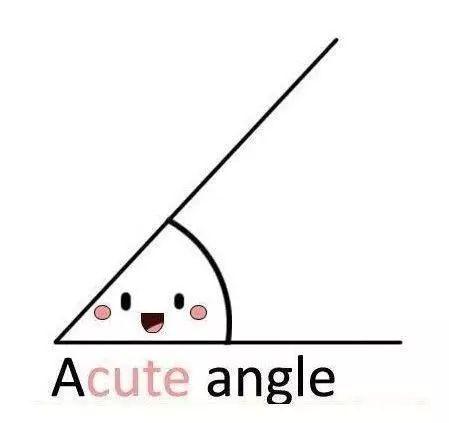 acuteangle图片