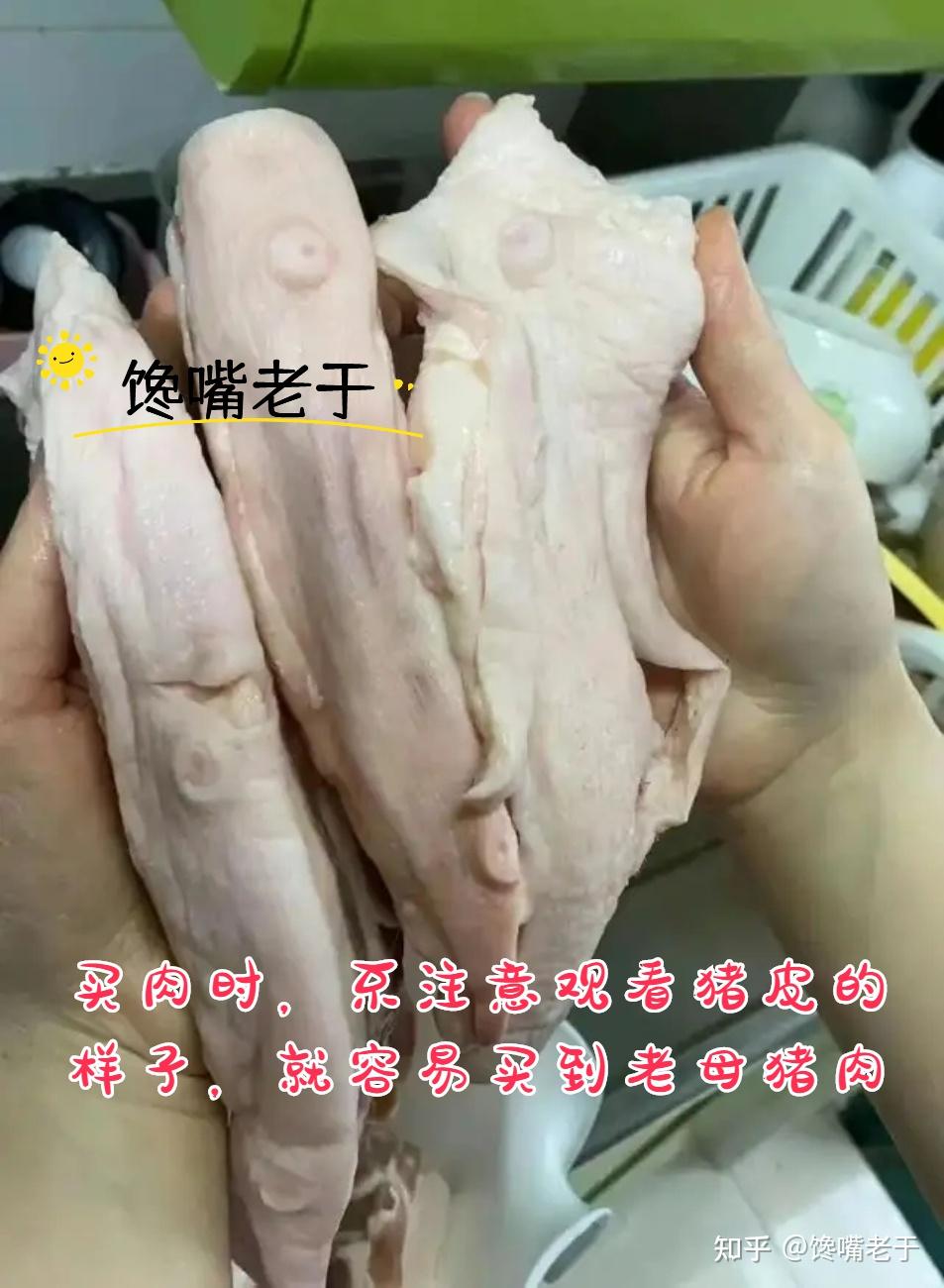 老母猪肉口感较差,可以上市售卖吗?