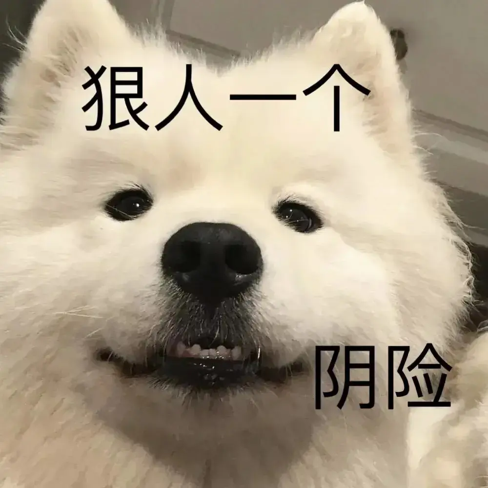 大家有没有这种的配字很厉害的沙雕表情包? - 知乎