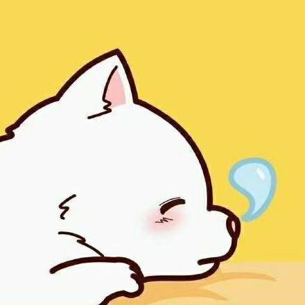 有没有萨摩耶可可爱爱的头像