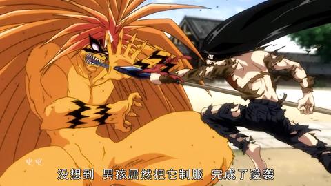 潮与虎 知乎 潮与虎 知乎