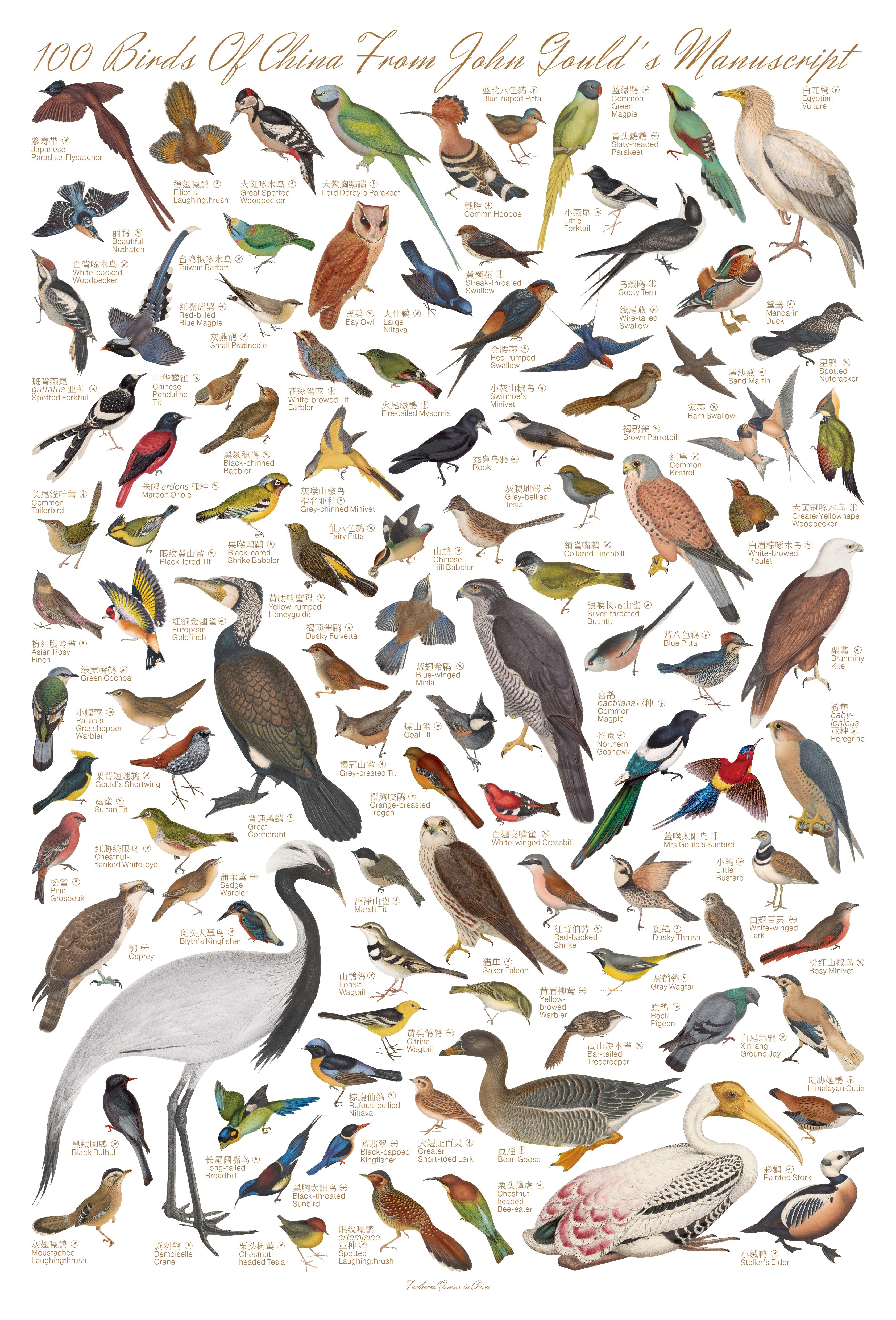 你好陌生人可以留下一本你喜欢的书吗256106o610725