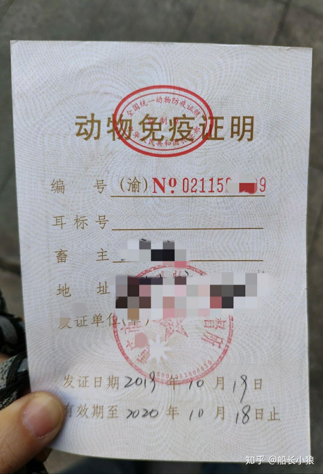 狂犬病免疫证编号在哪看呀