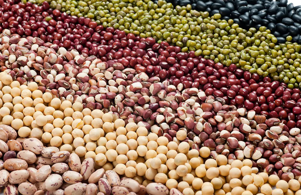 夏天吃豆子胜过吃肉别看蚕豆不起眼营养少不了