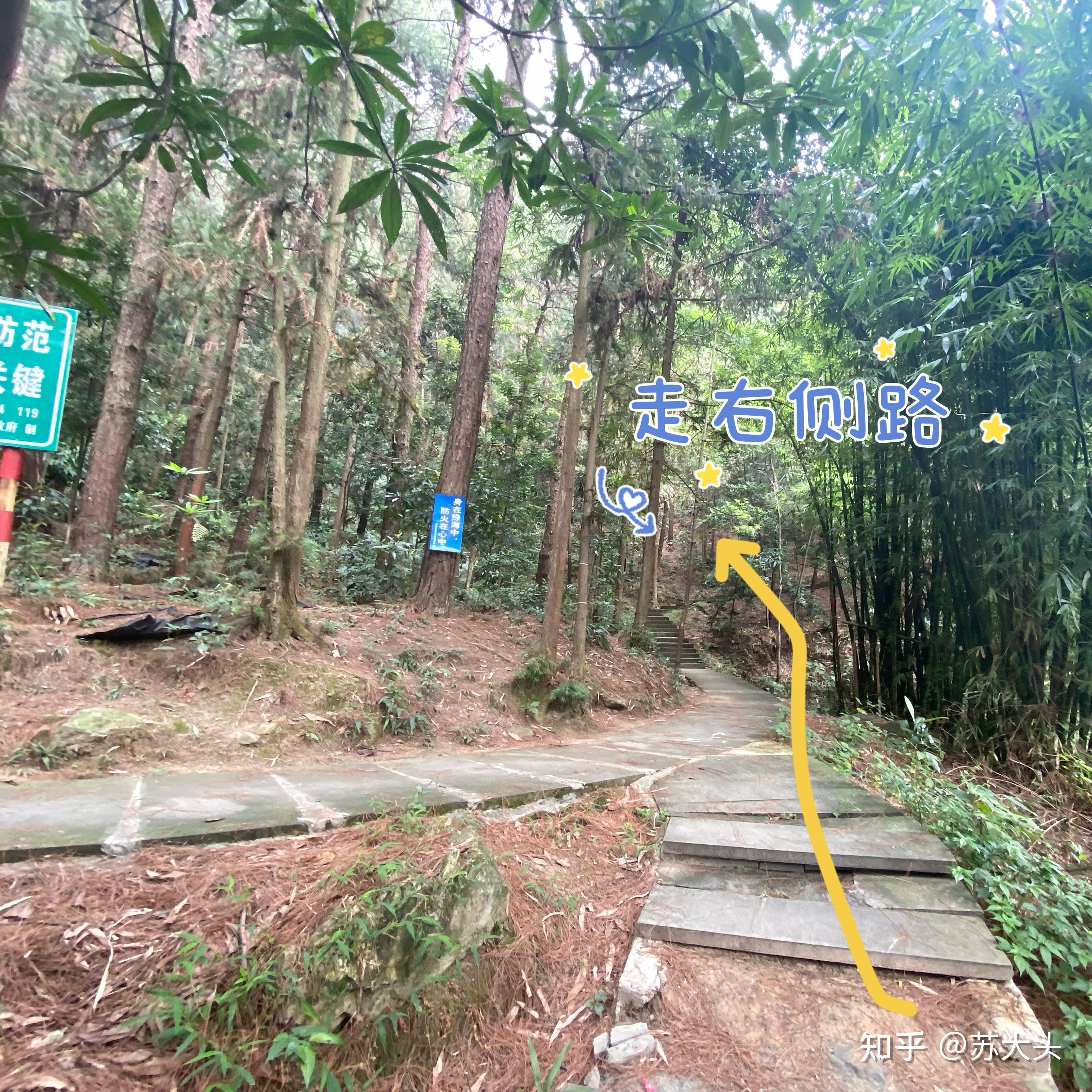 重庆徒步爬山圣地：缙云山免门票上山详细路线指引 - 知乎