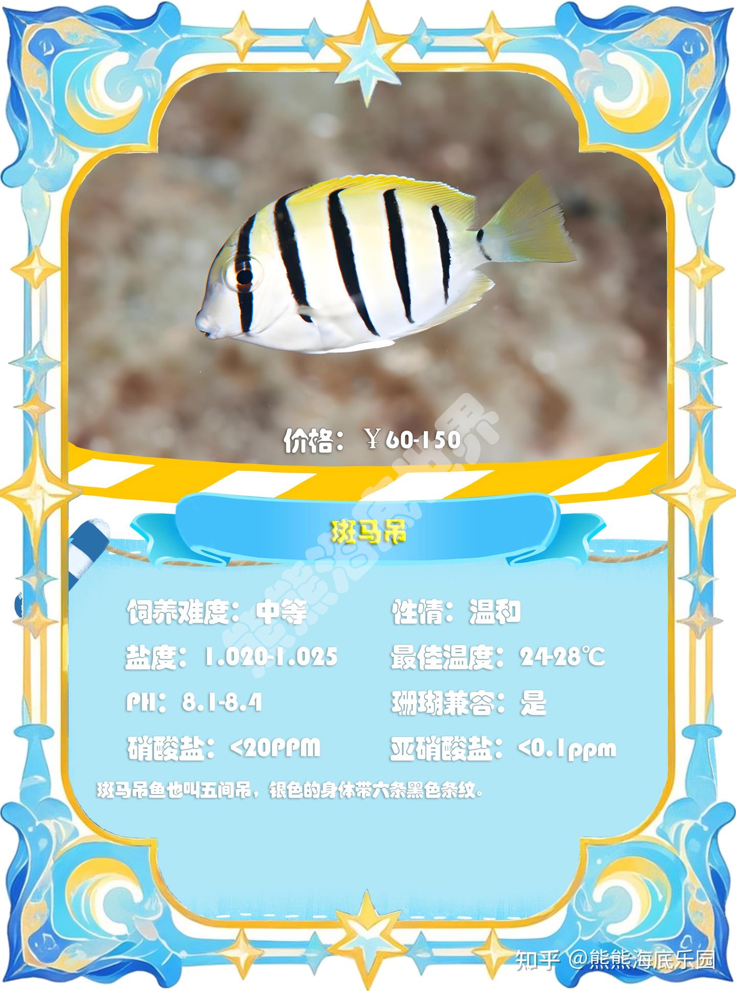吊类鱼合集(中)刺尾鱼属 - 知乎