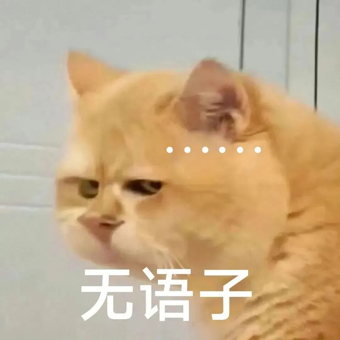 【蒸汽洗地机推荐】四款热门洗地机实测大PK,附追觅T60Steam、友望云朵、石头A30 Pro Steam、添可芙万StretchSteam热门蒸汽洗地机选购建议