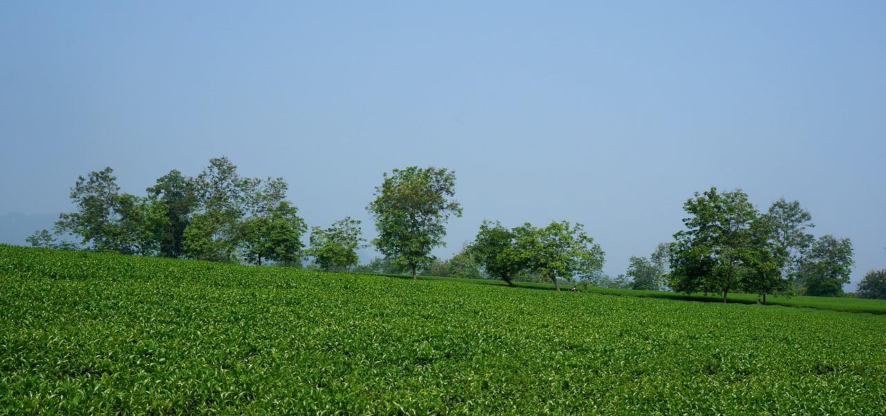 2. 阳光首府宜居区