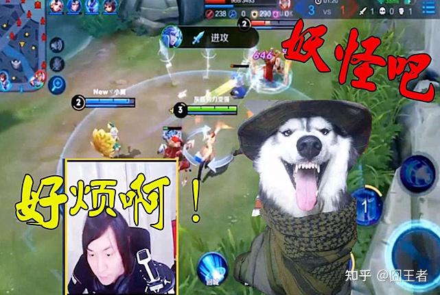 大家如何评价大仙的战队xyg