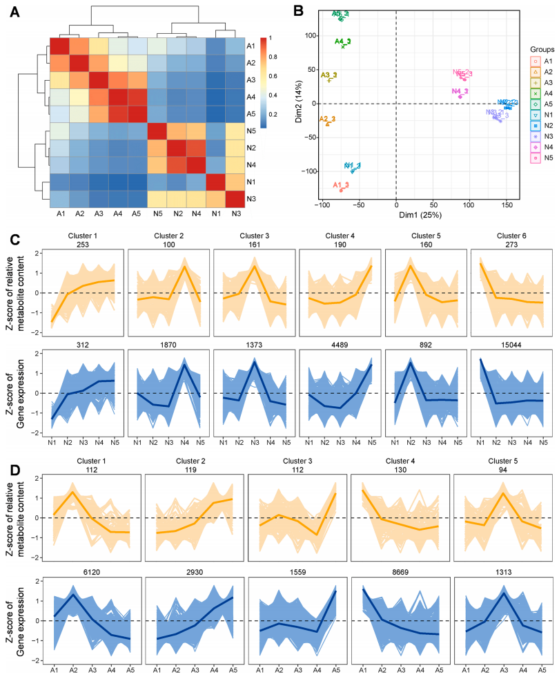 代谢组+转录组分析为腰果树果实发育成熟过程中代谢网络提供见解 - 知乎