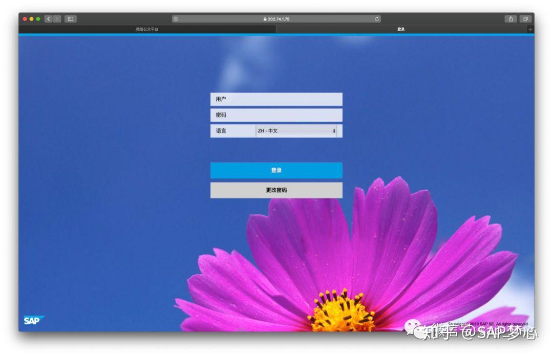 SAP Fiori最新版本初探 - 知乎
