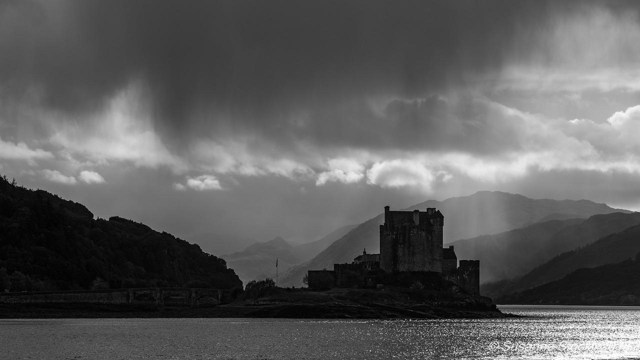 台风暴雨下的城市变迁