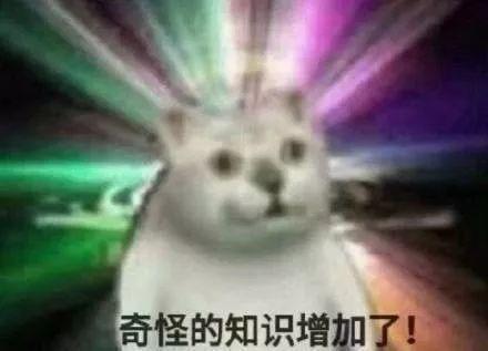 登上b站首页的智障猫猫头 竟然出自成人片 知乎 登上b站首页的智障猫猫头 竟然出自成人片 知乎
