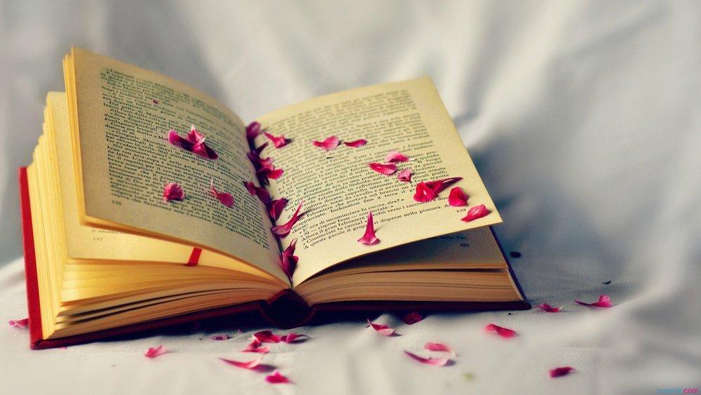 书是怎么做出来的 v2-07acb3afff810b6f923cdf5cfc5594ac_1440w.jpg?source=172ae18b