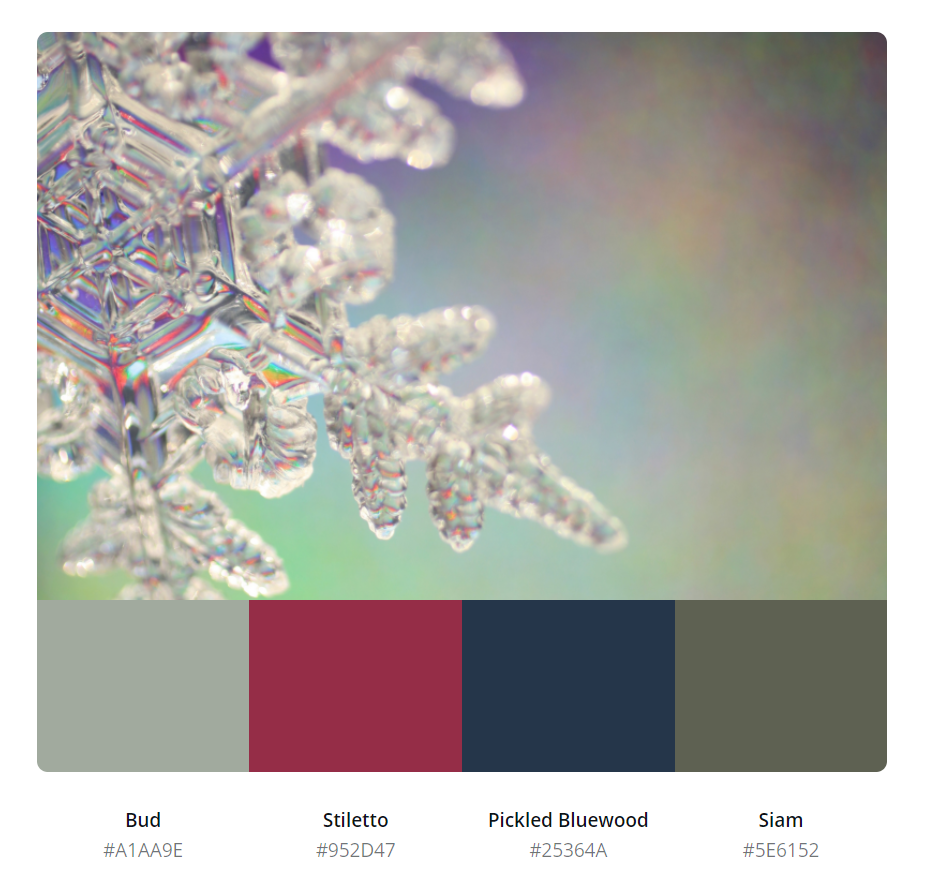 有哪些好看的冬天配色?领取50张绝美色卡